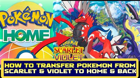 pokemon transferable to scarlet and violet